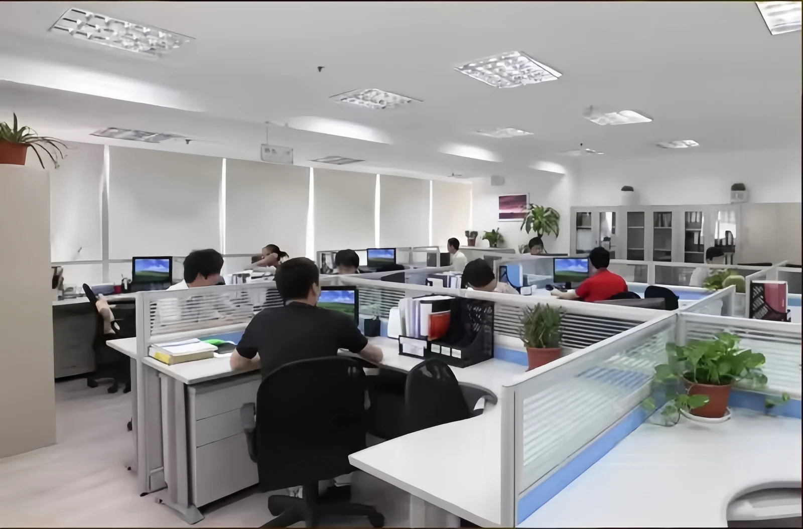 Company office with team members working at their desks