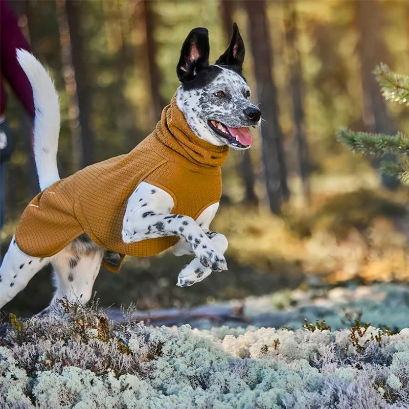 High-Collar Fleece Dog Jacket