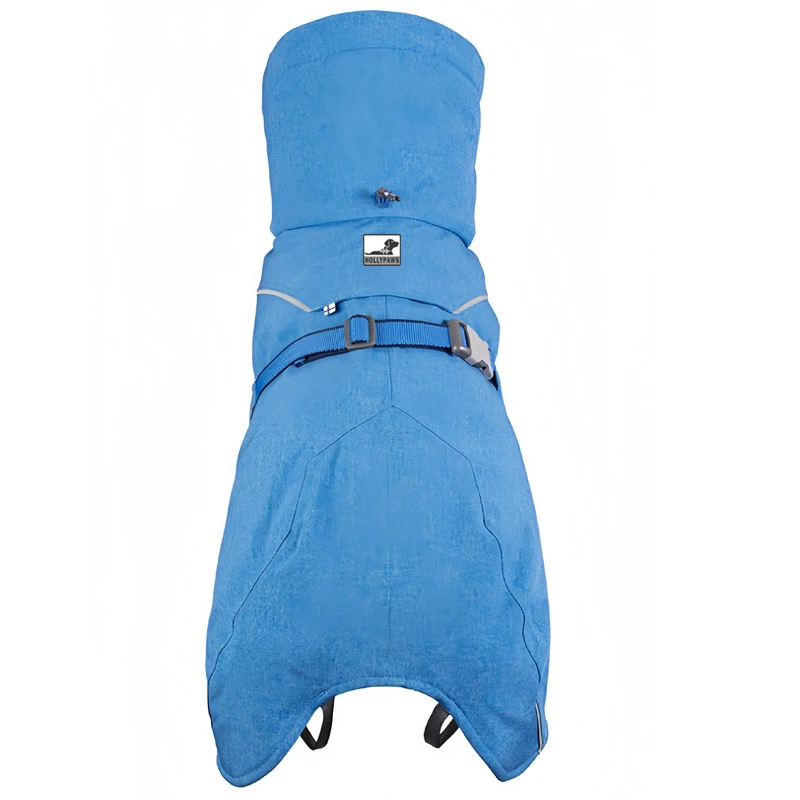 Blue coat — full back view