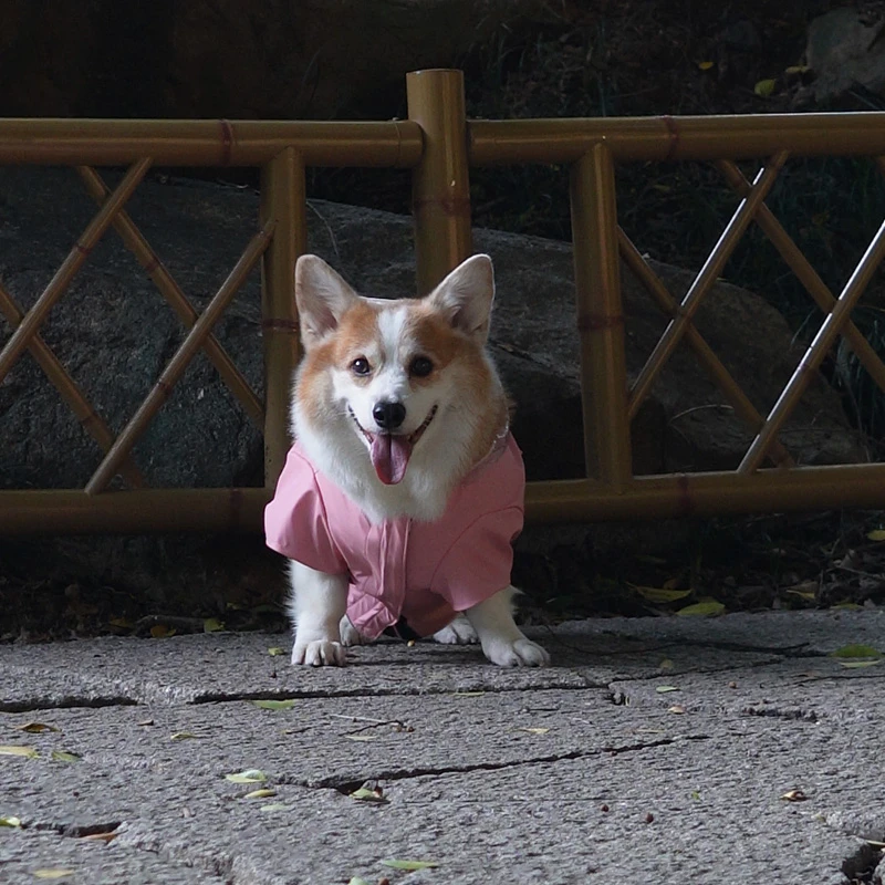 Pocket Hooded Dog Raincoat
