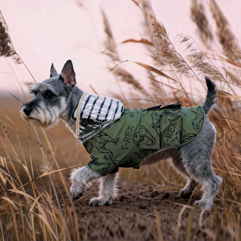 Graphic Hooded Dog Raincoat