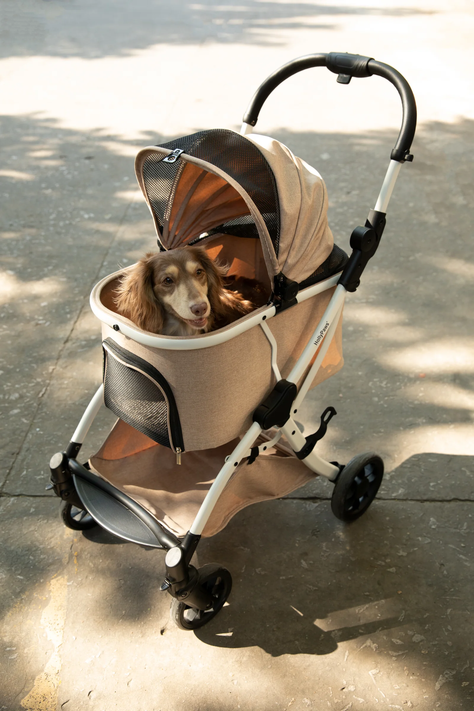 Pet stroller shown in an outdoor lifestyle setting