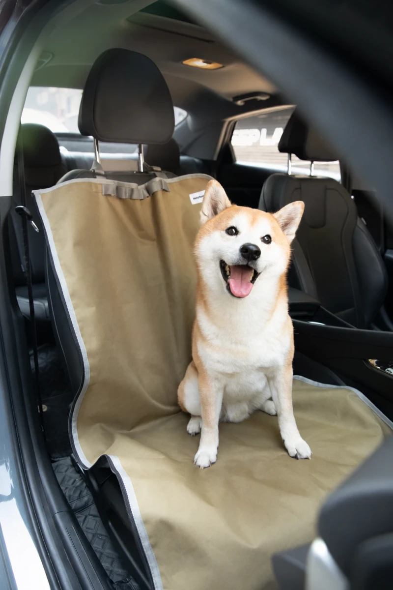 Multi-Function Pet Car Mat