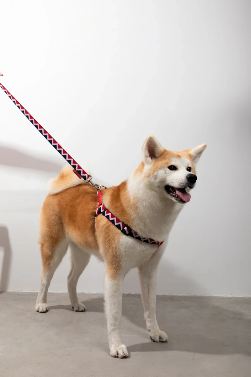 Geometric Y Dog Harness