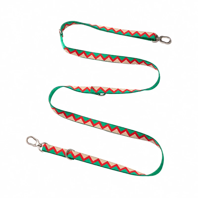 Multi-Position Dog Leash