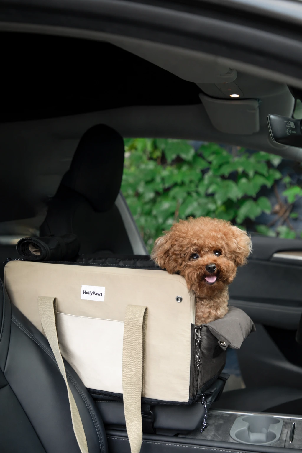Dog in soft carrier placed on a vehicle centre console