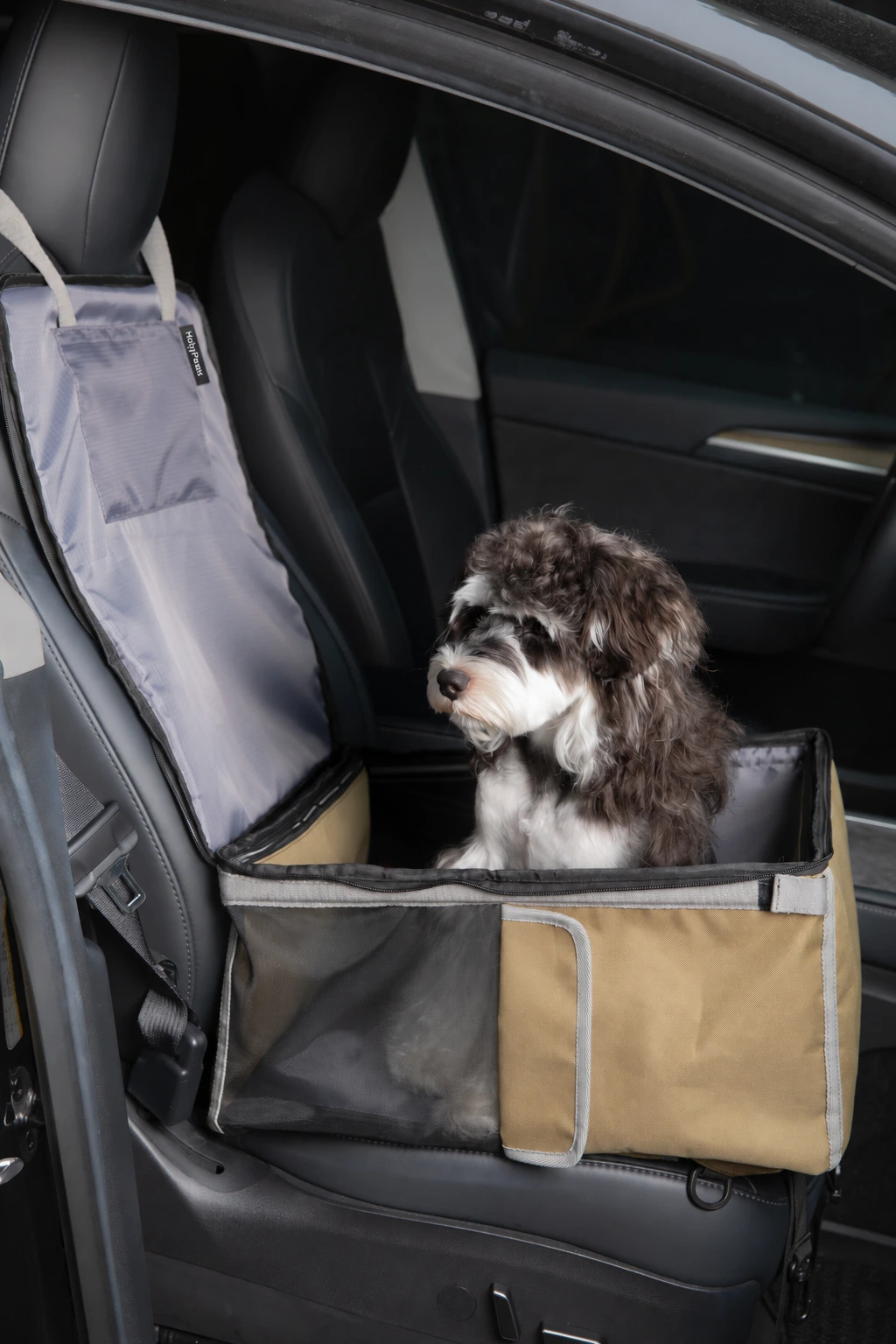 Carrier with tall protective panel shown in a parked vehicle