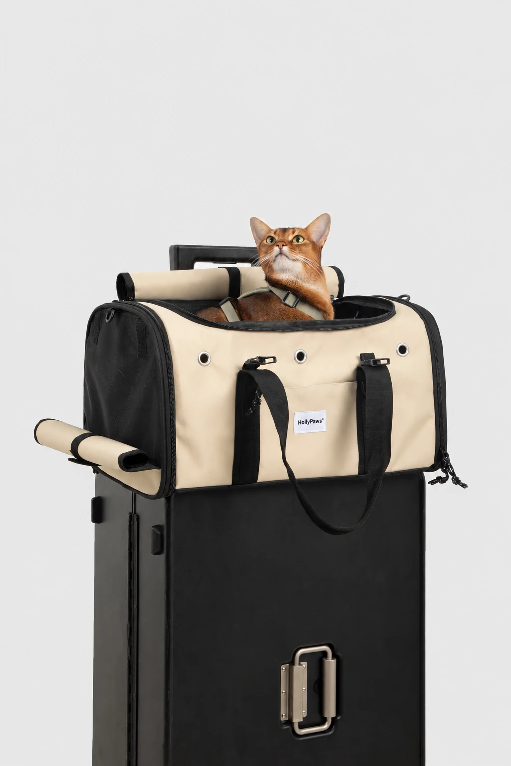 Carrier on a suitcase handle with mesh side and top access open