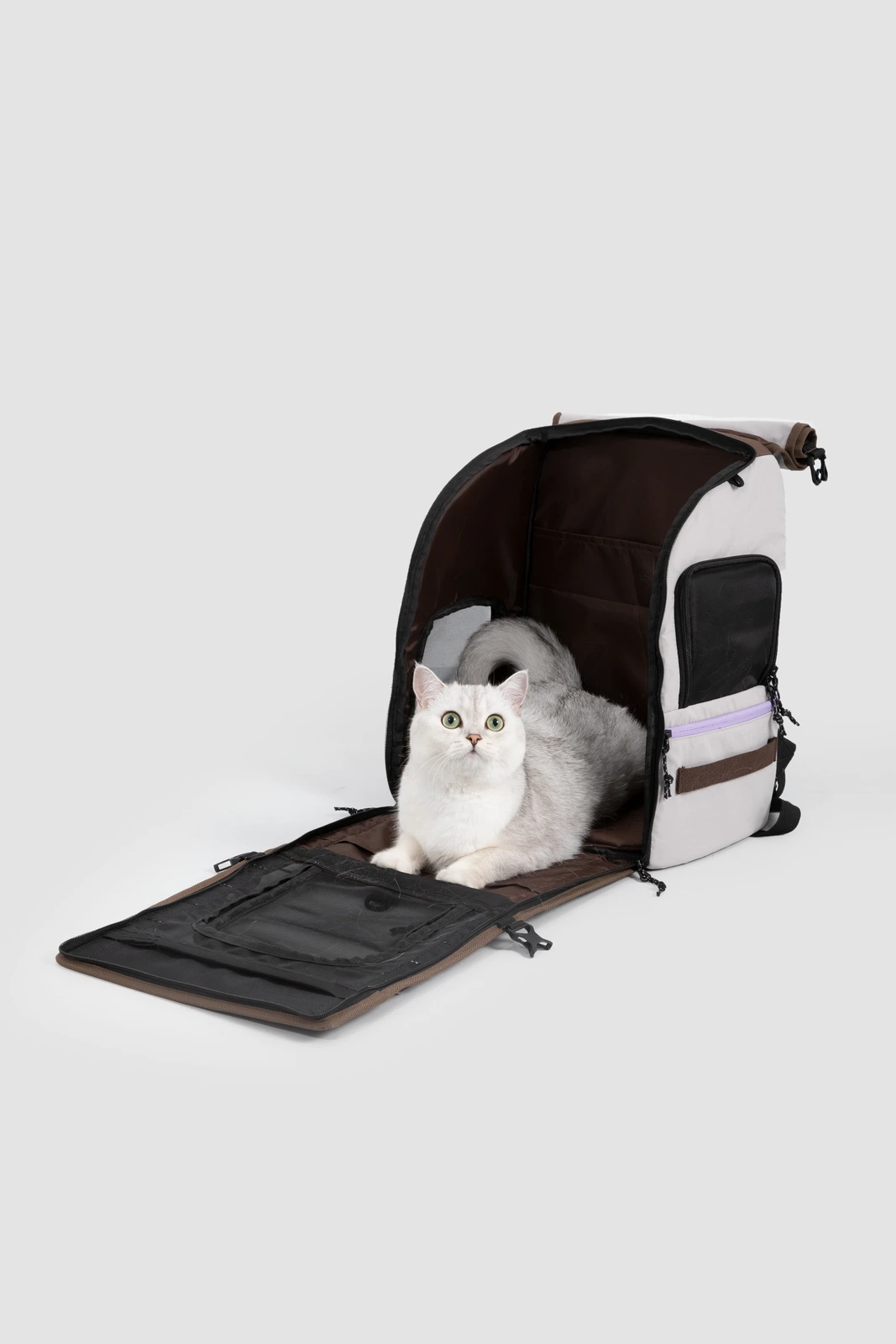 Fold-down access panel and interior with a real cat