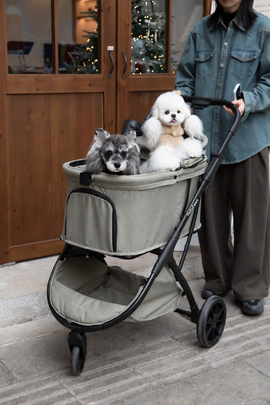 Two small dogs in the stroller outside a cafe, showing the cabin and lower basket