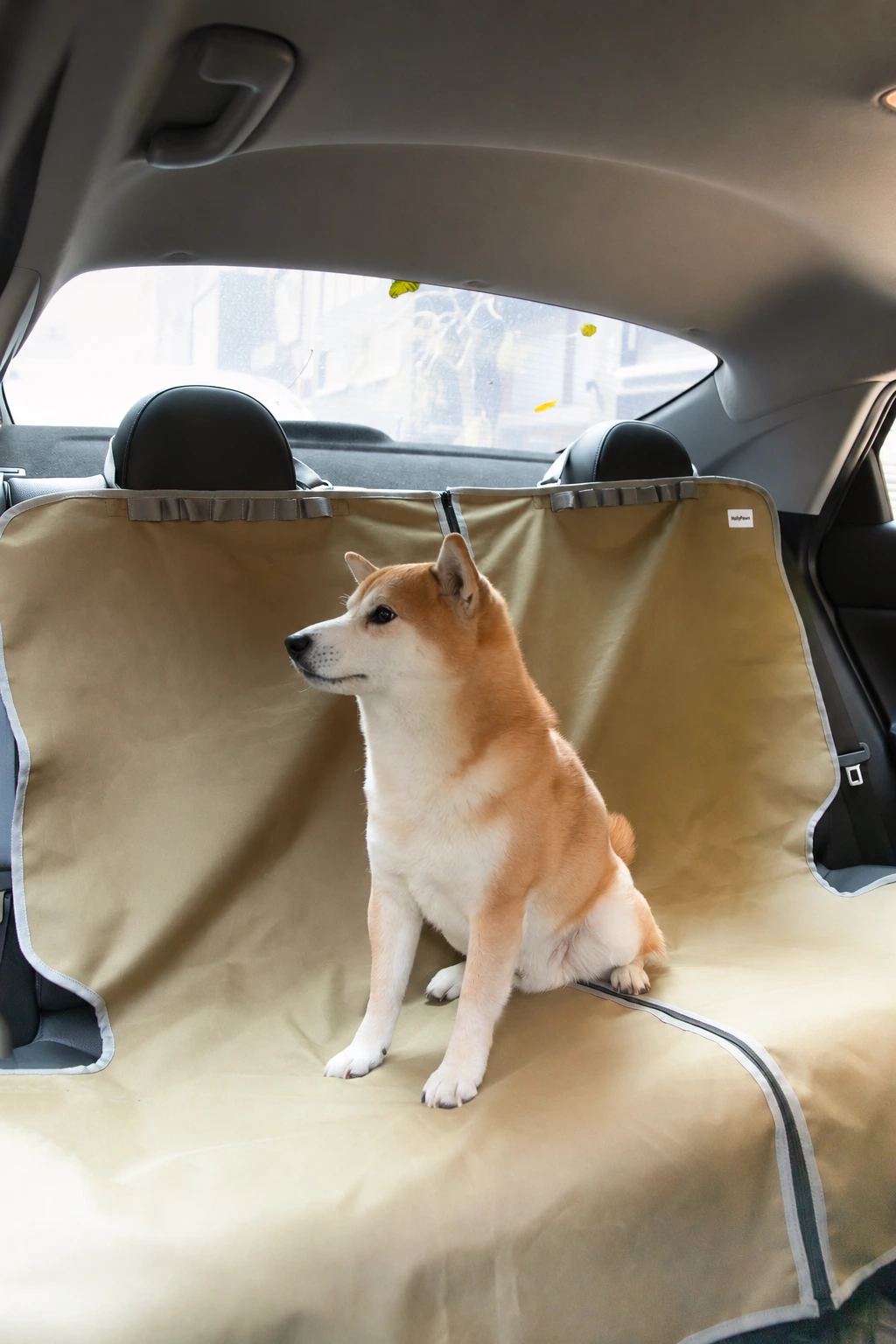 Rear-bench arrangement showing centre zipper and dog