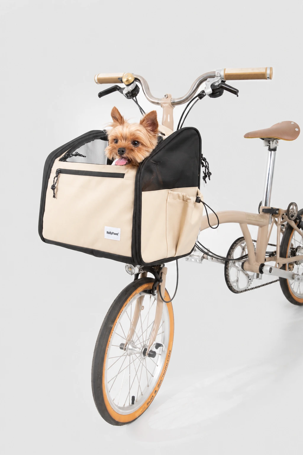 Carrier mounted at the front of a demonstration bicycle with a small dog