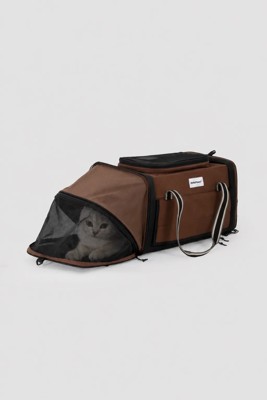 Cat resting inside the expanded side section of the carrier