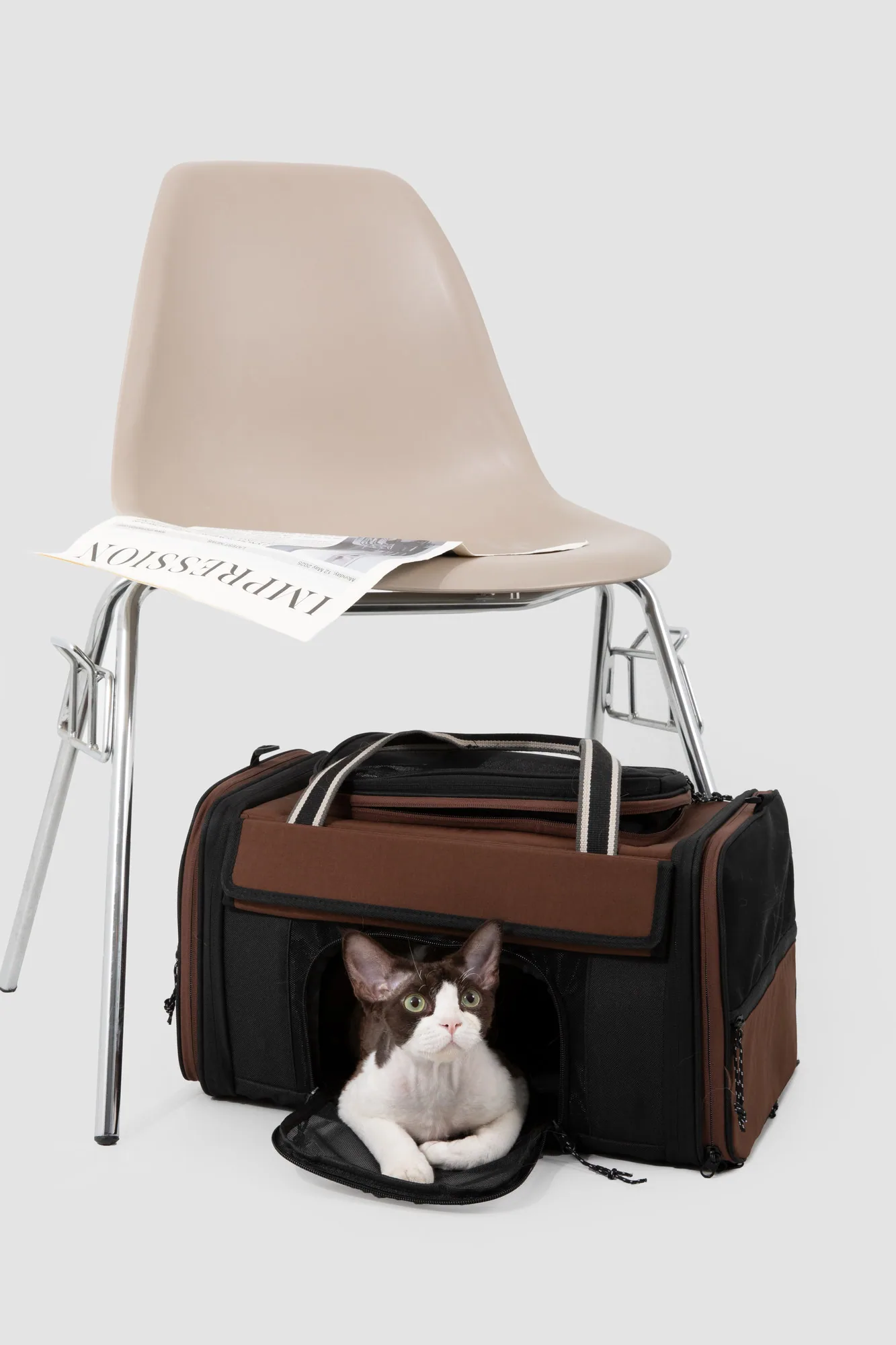 Pet carrier positioned beneath a chair