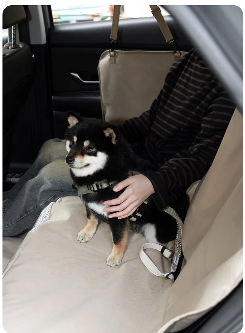 Dog and passenger using the rear-seat pet hammock