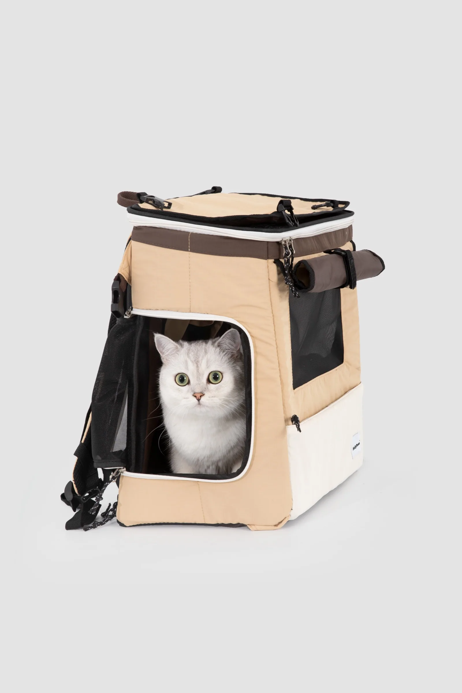 Cat inside the carrier with the side access door open