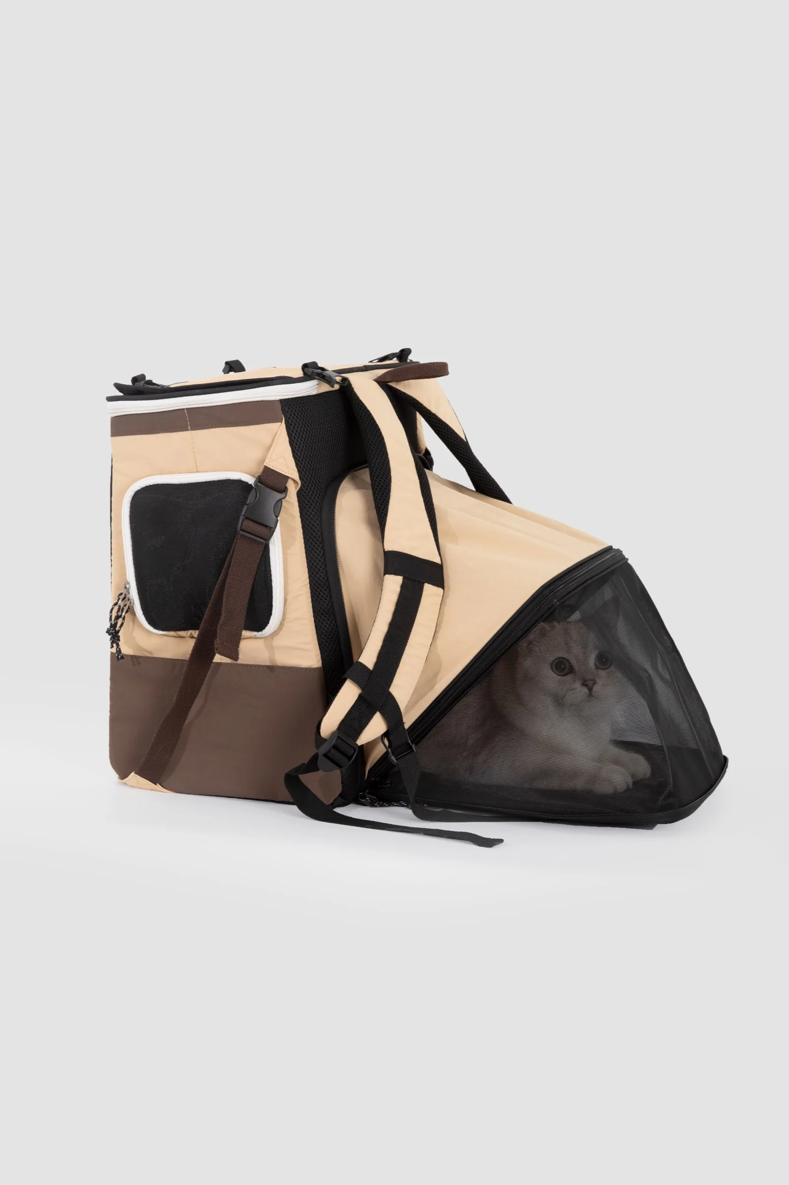 Rear resting tent expanded with a cat inside