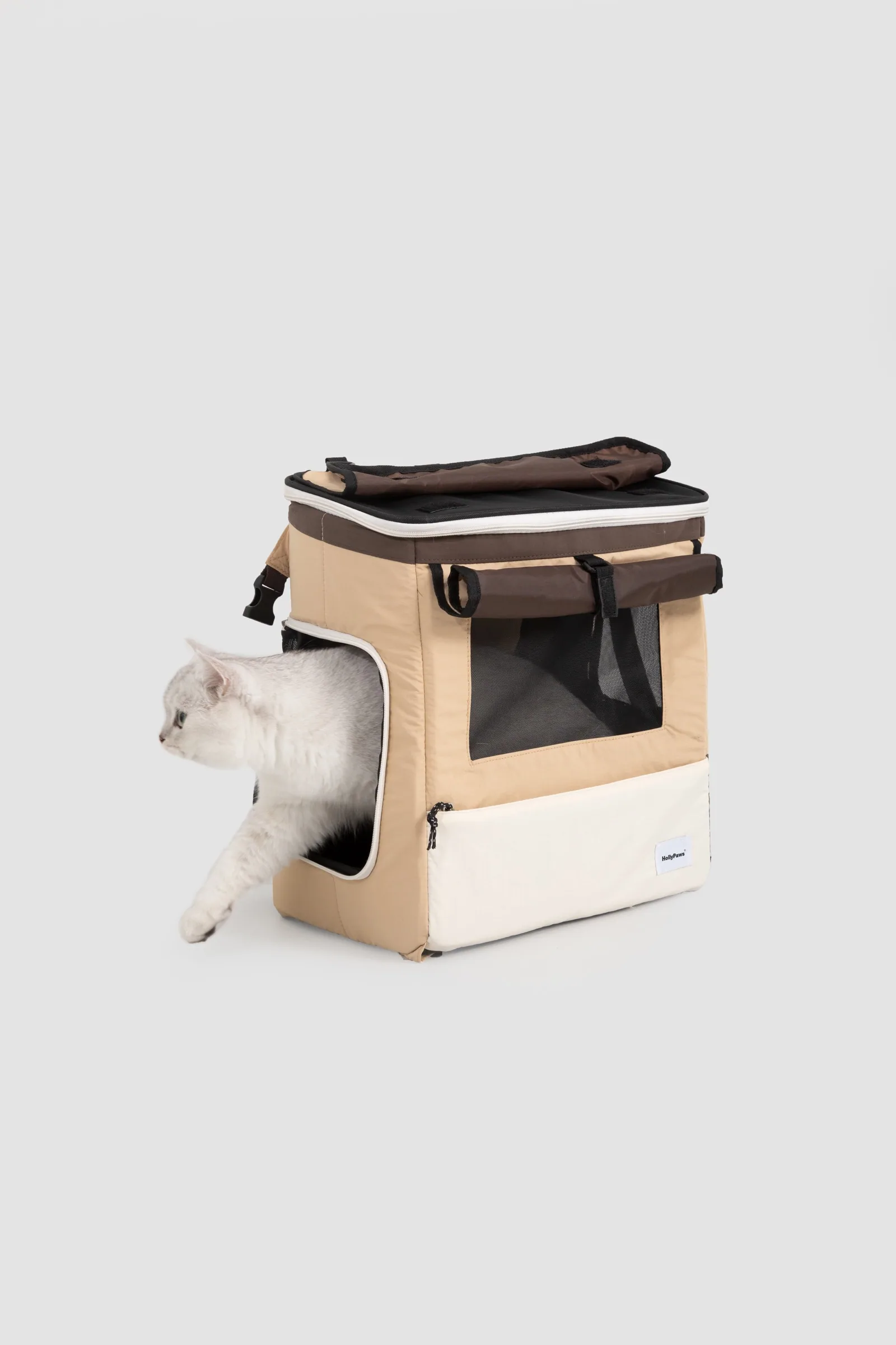 Cat using the side access opening