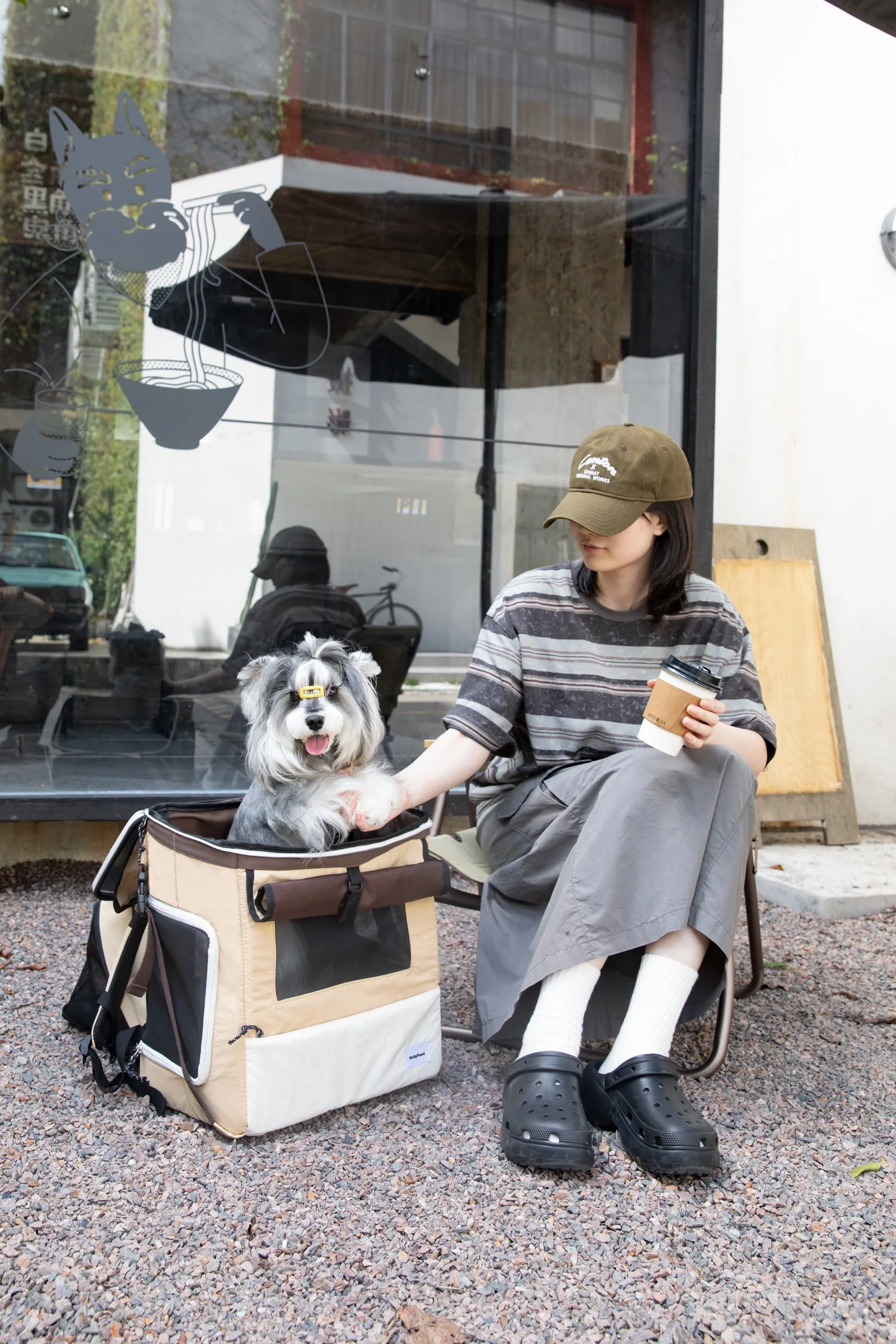Dog resting in the carrier during an outdoor café stop
