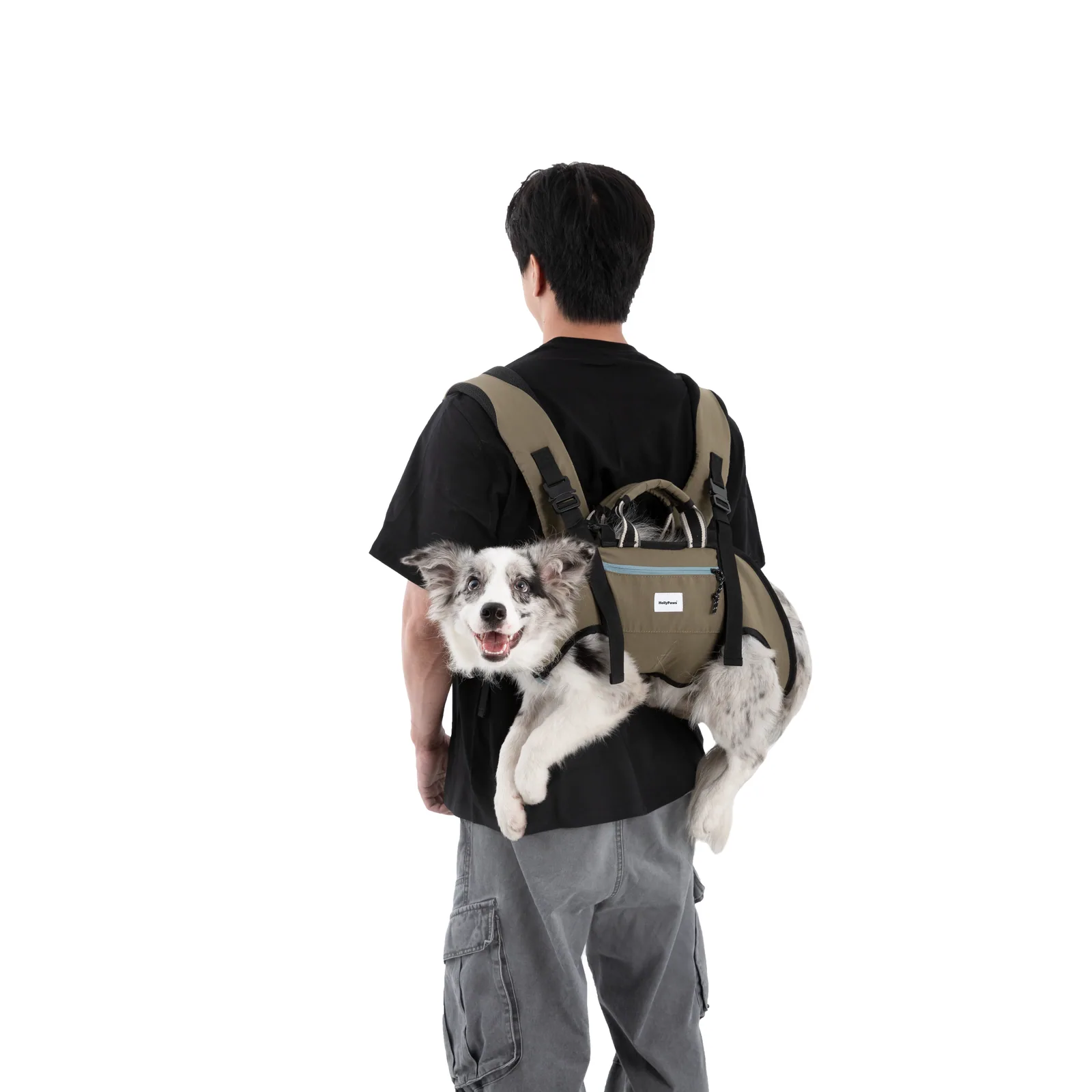 Border Collie carried in the horizontal backpack from the rear