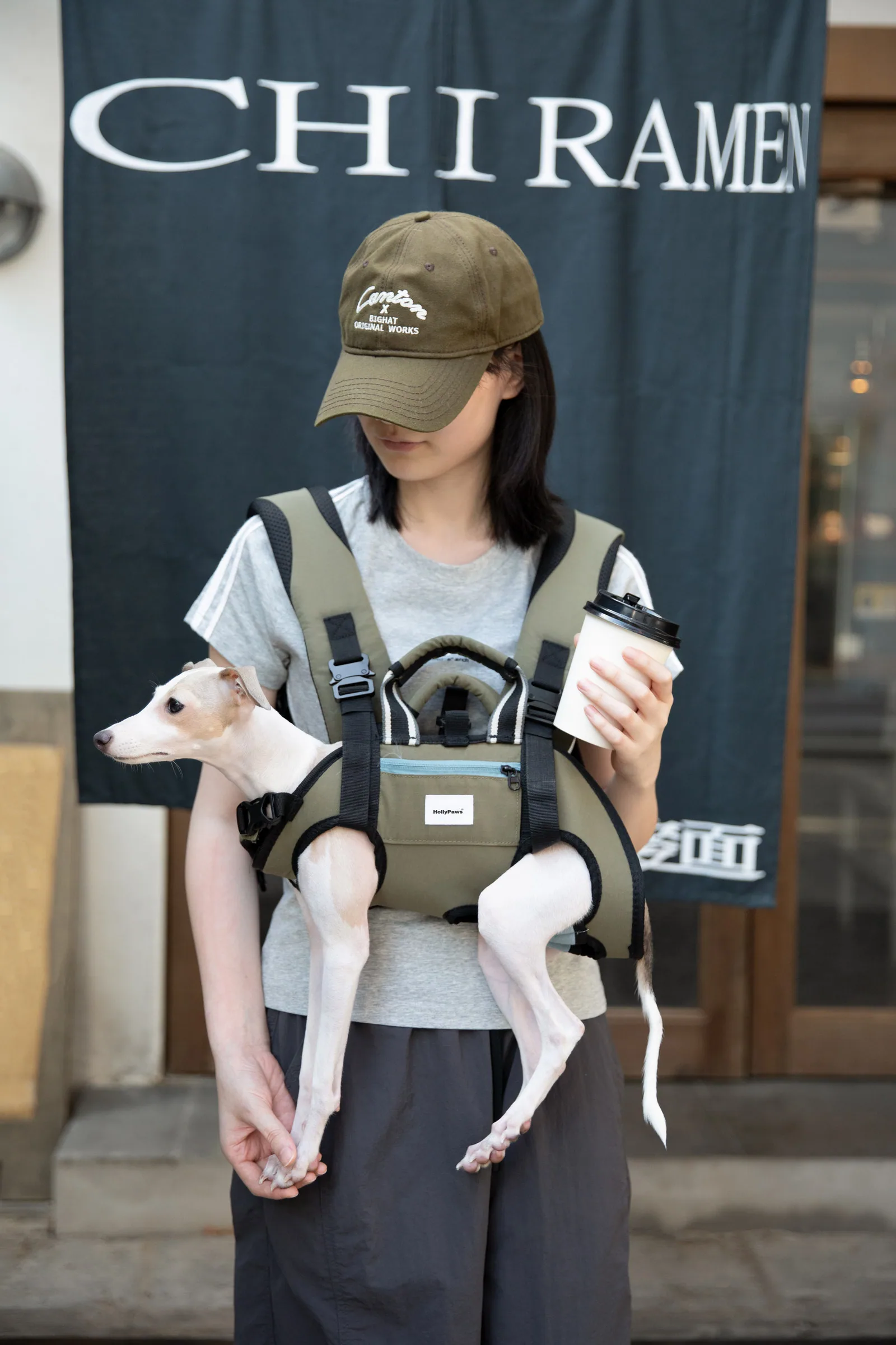 Small white dog carried at the front in an outdoor setting