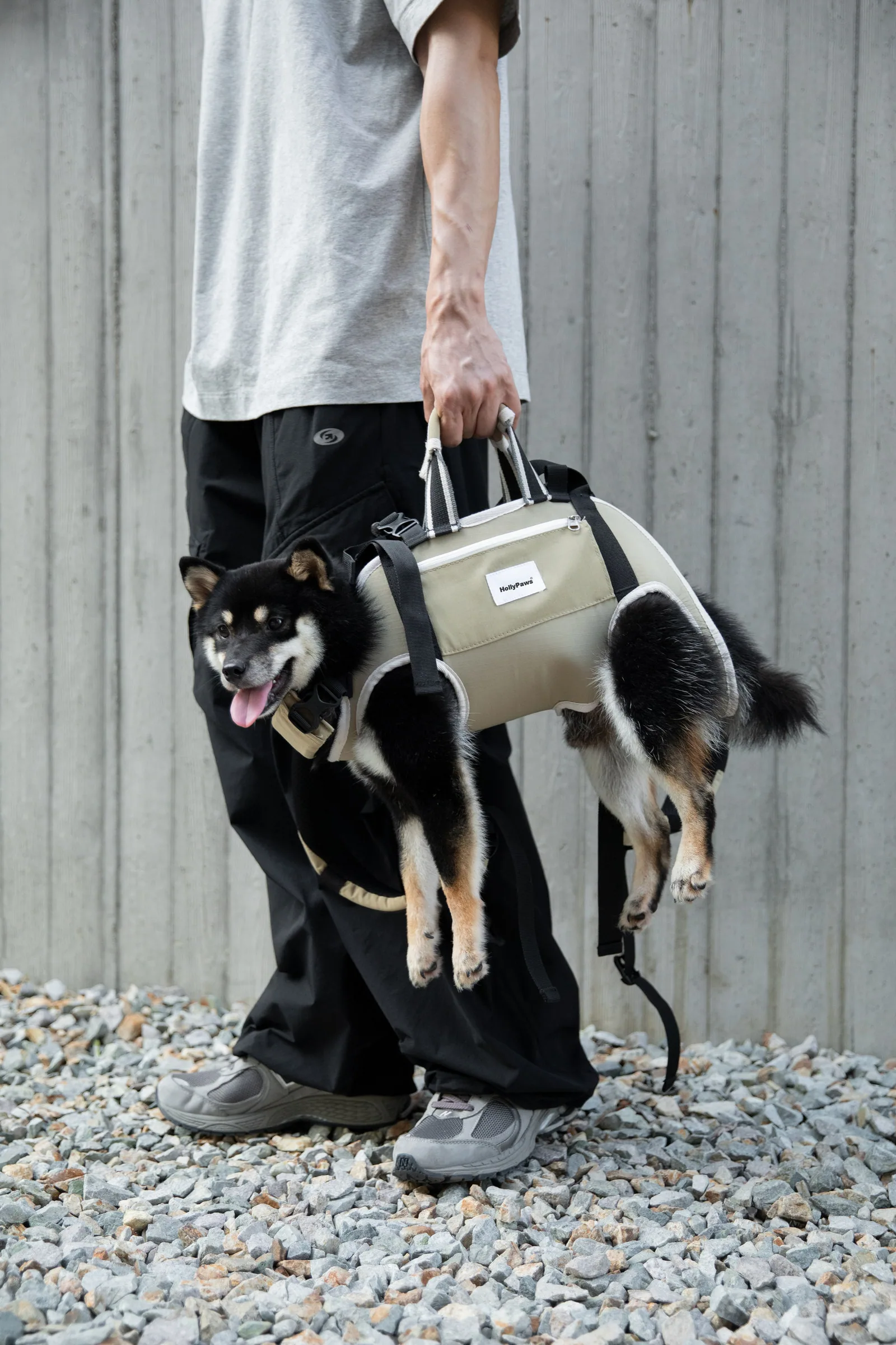 Black dog transported using the integrated hand-carry handles