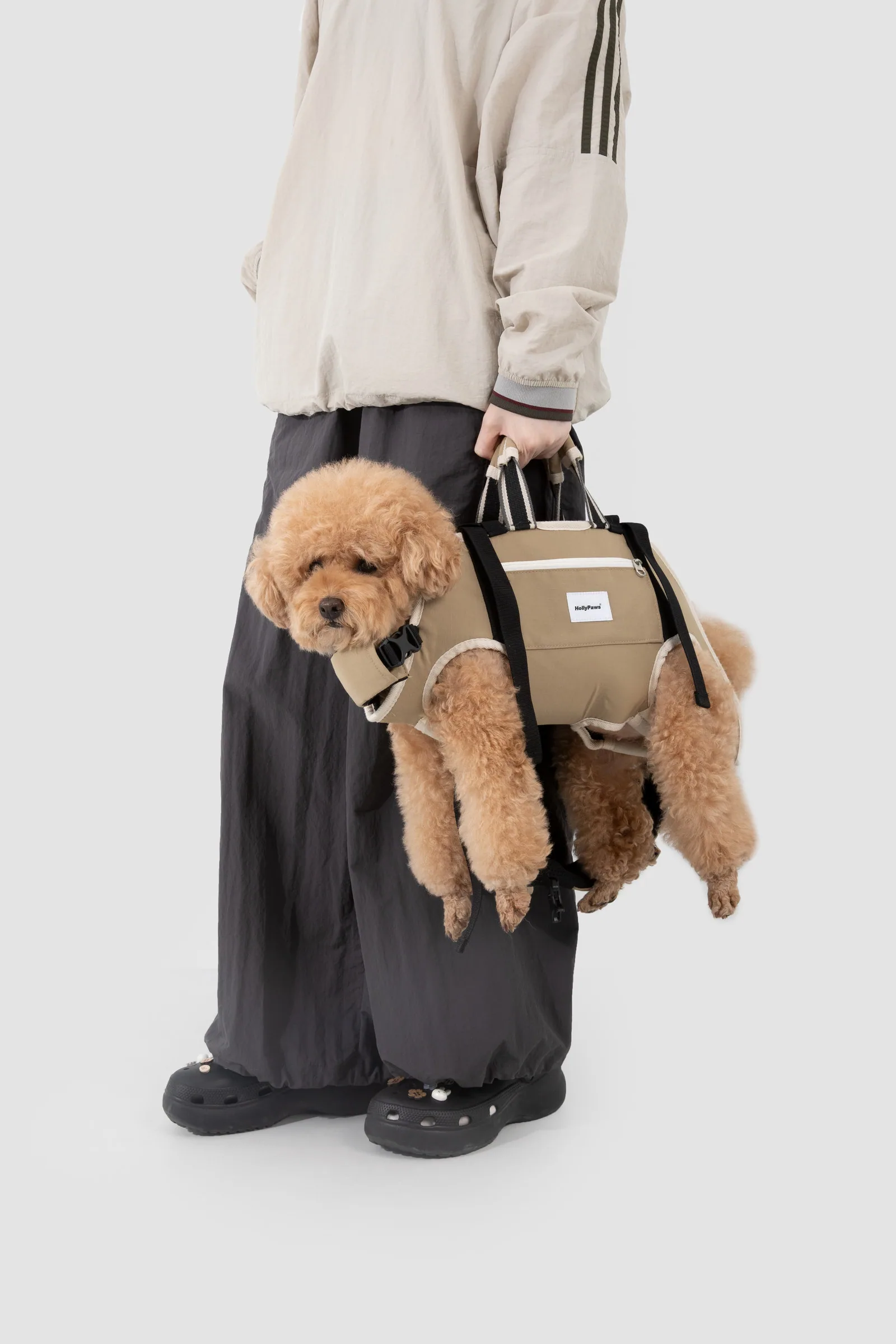Poodle transported using the integrated hand-carry handles