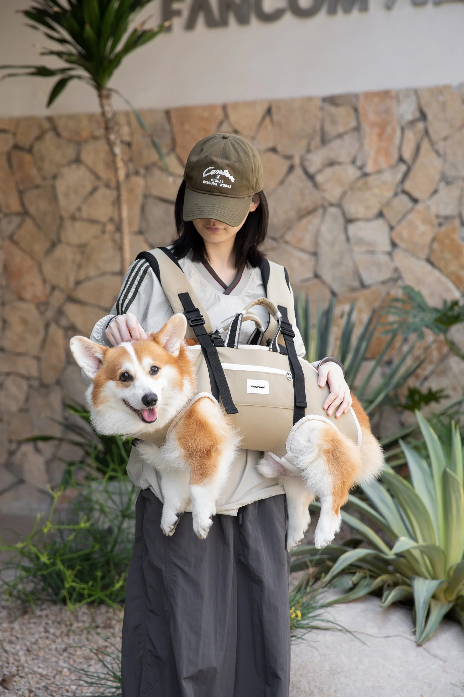 Corgi carried at the front in an outdoor setting