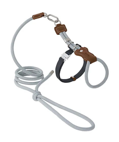 Buckwheat Grey rope cat harness and matching leash in a clean product view