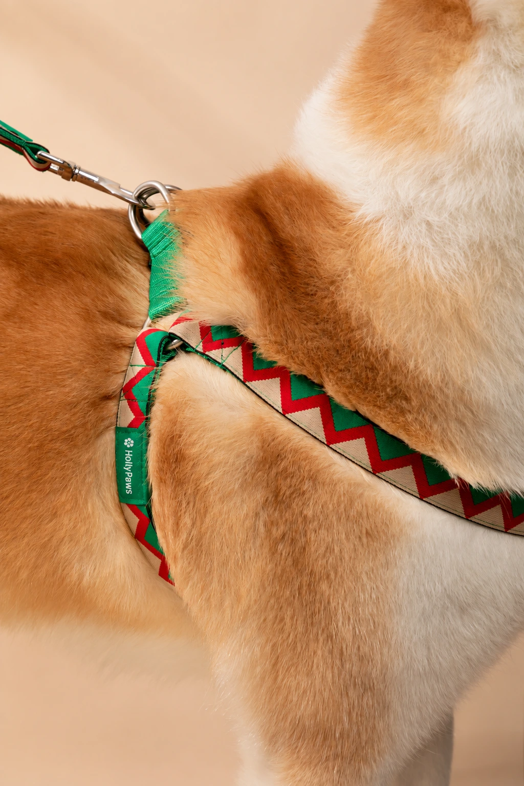 Close-up of green harness attachment rings and HollyPaws side label